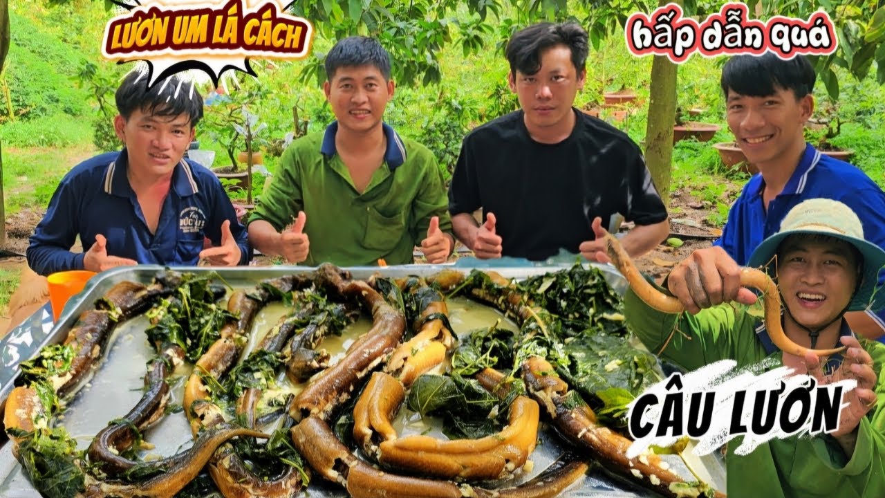 Câu lươn đồng về làm món lươn um lá cách ngon ngất ngây và cách làm lưỡi câu   |TeamHoài PhongTV