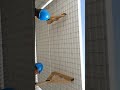 Thermocrete Low Cost Panel Construction - EPS rapid ready made wall Construction