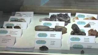 Mosėdis. Akmenų muziejus Wealth