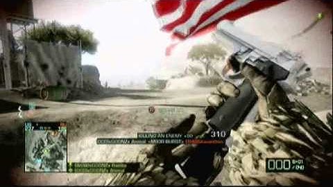 Defending The Flag Like A Boss - xGOONZx Animal