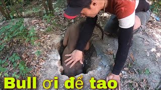 Pitbull Và Chiến Lợi Phẩm Của Săn Bắt Ẩm Thực Vùng Cao | Tường Vy Vlog