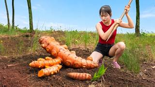 TIMELAPSE: Process Of Harvesting A Lot Of Giant Strange Roots In The Forest To Sell At Market