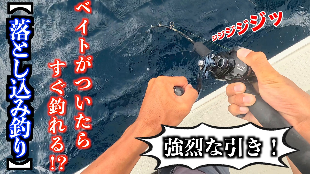 シーズン真っ只中の【落とし込み釣り】が釣れすぎる！釣りバトVol.11【魚ＶＳ出費！釣り1年間ガチ収支バトル！】