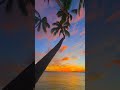 Neon Nightfall 🌅🌴🌺🌊 #hawaii #sunset #travel #beach #paradise
