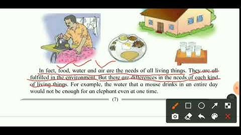 Std 4th EVS 1 Chp 2 The Inter   relationship between Living Things Part 1