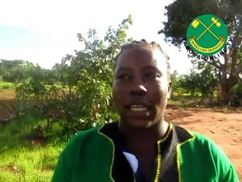 MH REMEMA MIGILLA MBUNGE CCM WA JIMBO LA ULYANKULU ASAIDIA KUONDOA TATIZO MGELELA SHULE YA MSINGI