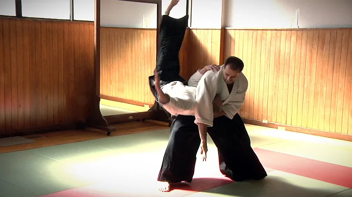 Aikido - Guillaume Erard & Denis Lortie in Tokyo