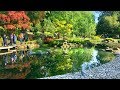 LONDON WALK | Holland Park incl. Beautiful Kyoto Garden | England