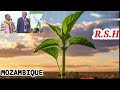 ICYIGISHO CY UMUVUGABUTUMWA WO KU KIRWA CYA SÃO TOMÉ MURI MOZAMBIQUE Inancio Afonso De Jesus 
