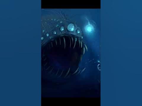 Эволюция Блуп - YouTube