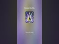 Banana Bassline: Extremely Funky Bass & Guitar Instrumental with Bass & Guitar Solos