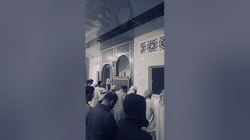 ماتيسر من سورة المؤمنون بصوت القارئ محمد وليد الشرعبي