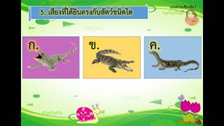 เกม  ทายเสียงสัตว์   by  ครูสกาวรัตน์  แสงสุตา screenshot 4