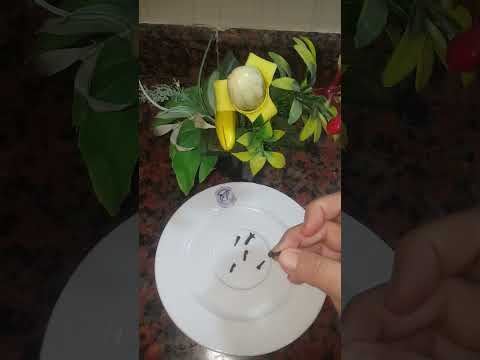 اجعلى ريحة فمك عاطرة