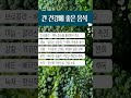 간에 좋은 음식 #밀크씨슬 #간영양제  #곰피추출물
