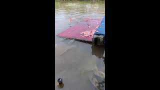 🐱Welcome To My Live Stream 2026-08-02