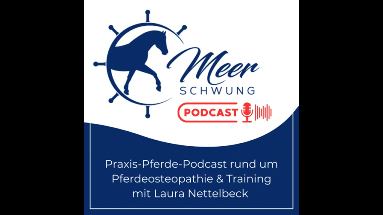MeerSchwung - Pferdeosteopathie und Training to go (Trailer)
