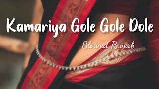 Kamariya Dole (slowed reverb ) || kamriya gole gole dole Raj ji lofi song