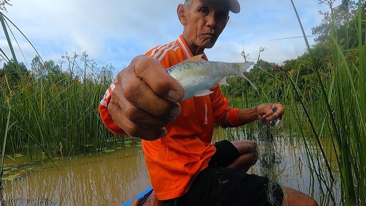 ยามมอง ตาข่ายดักปลา 4 เซน มีแต่โตงามๆ หาปลาในป่าในหนอง EP.1/2 - อีสาน บ้านโนน