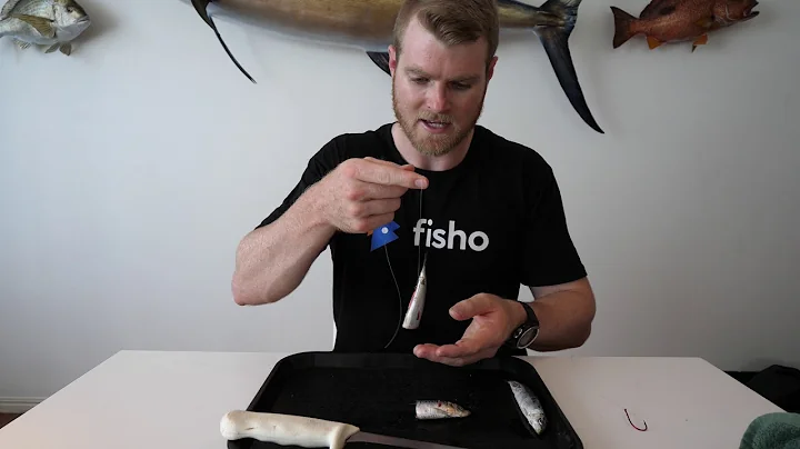 Bait Presentation - Half Pilchards | Fisho App