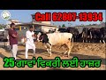 25 cows for sale  25     cowforsale