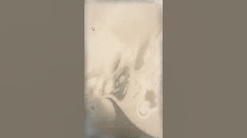 Thumbnail of Kurt Cobain Frances farmer will have her revenge on Seattle