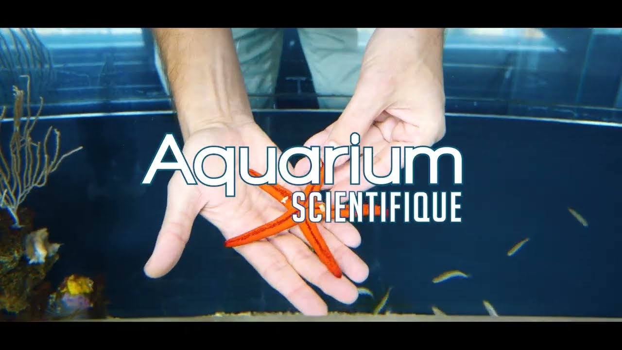 Biodiversarium by Vircom