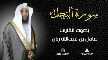 سورة " النحل " القارئ: عادل ريان || المصحف المرتل