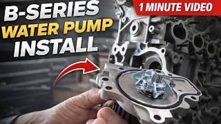 How to Install a Honda B-Series Water Pump in 1 Minute