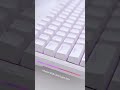 Typing ASMR - Dierya DK81E Kemove - Budget Mechanical Keybaord #mechanicalkeyboard #typingasmr
