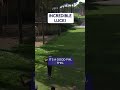 CRAZY lucky bounce out of water 💦
