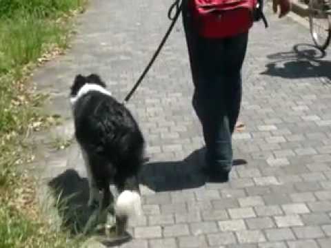 camera iphone 8 plus apk 7月28日