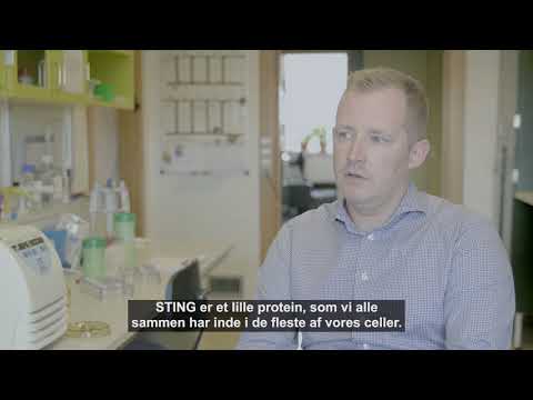 Immunforsvaret som kræftbekæmper