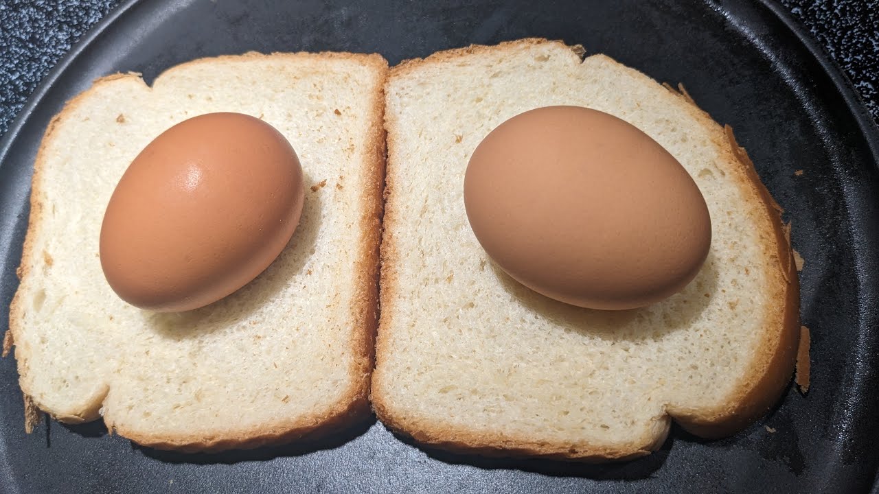 Grilled Sandwich and Eggs for Breakfast #live #breakfast