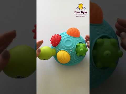 Игрушка Черепашка Sensory