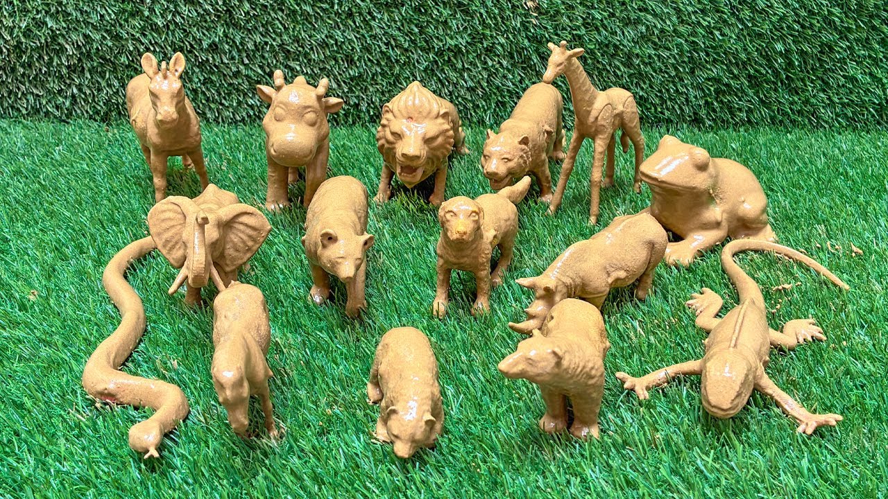 Heroes of the Habitat: A Kid’s Journey to Rescue Farm & Savannah Animals