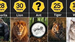 How Long Do These Animals Live? Shocking Lifespan Differences