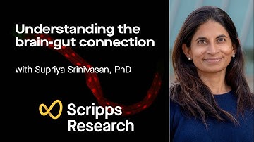 Understanding the brain-gut connection with Supriya Srinivasan, PhD