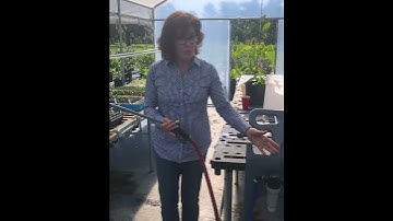 Lessons with Lela - How does a Li