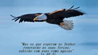 Encanador Hidráulico