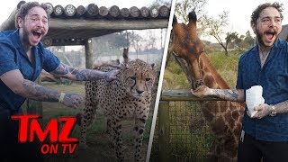 Post Malone Has a Wild Animal Adventure | TMZ TV