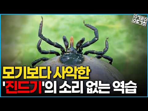 눈이 없는데 어떻게 인간만 골라 탈까? 진드기의 히치하이킹 비결 (갈로아)