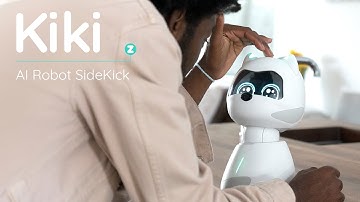 Kiki - Conscious, Learning Robot Sidekick