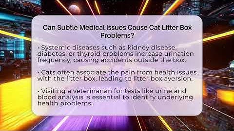 Can Subtle Medical Issues Cause Cat Litter Box Problems? - Happy Cat Handbook