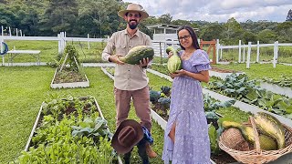 Como ficou o sítio 30 dias sem nós (abandonado?), tour pelas plantações - T6 Ep.54