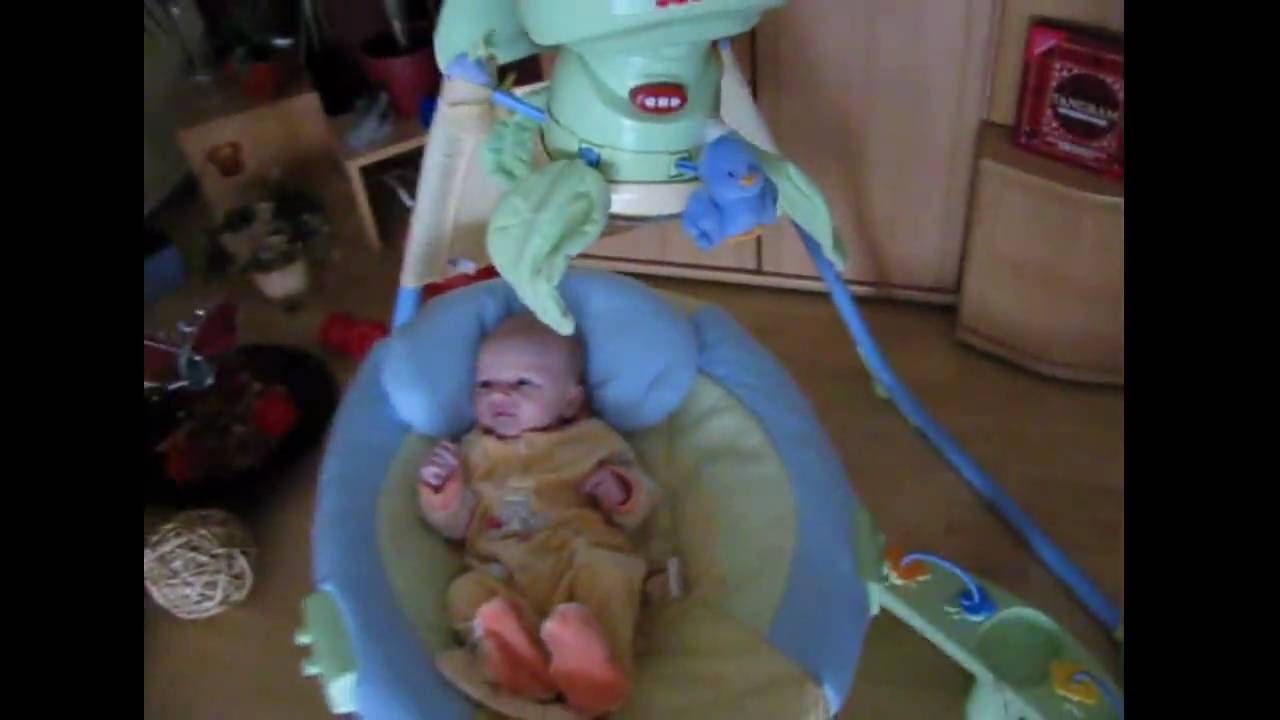 baby papasan fisher price