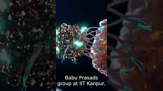 [Daily Brief] These Peptides Are Hunting Cancer Cells 🧬 #shorts