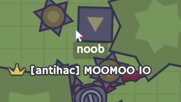 MooMoo.io: hunting down hackers
