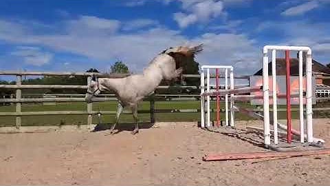 Advert reference - 398660