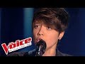 Scorpions – Still Loving You | Élodie Martelet | The Voice France 2014 | Blind Audition